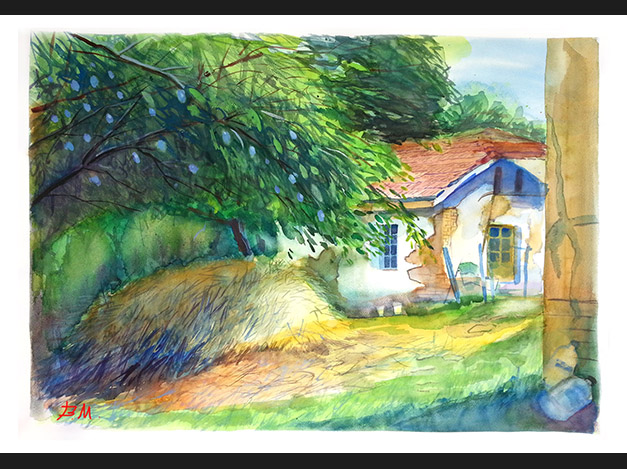 A memory from childhood